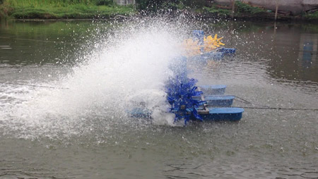 O que determina o layout dos aeradores de tanques de peixes