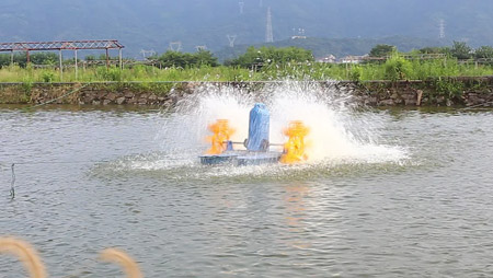 Seleção e instalação de aerador de tanque de peixes